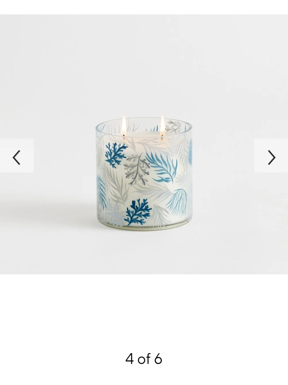 Pottery Barn Hand Painted Coastal Scent Collection Candle Sea Salt & Driftwood